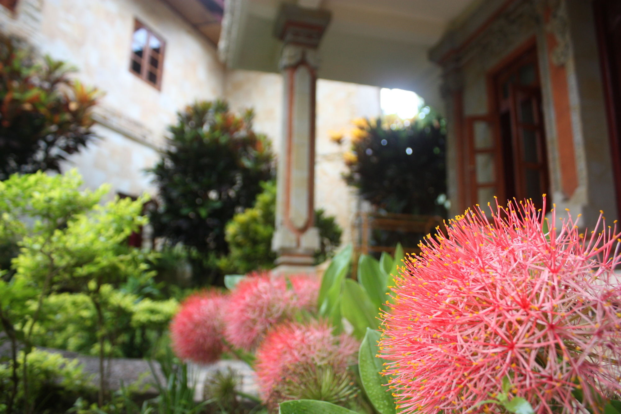 Rambutan Hotel Lovina Exterior foto